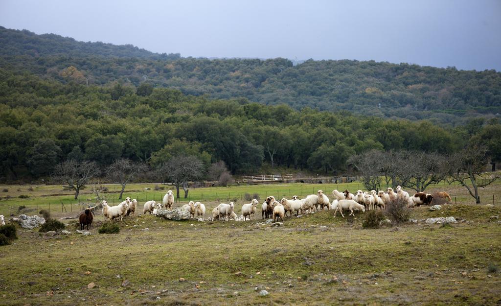 הוילה גרסלמה Tambor Del Llano מראה חיצוני תמונה